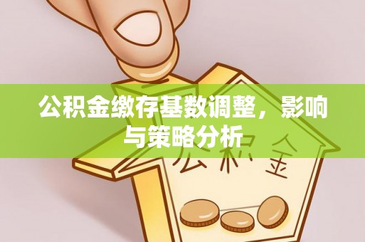 合阳公积金缴存基数调整，影响与策略分析