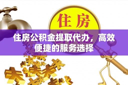 合阳住房公积金提取代办，高效便捷的服务选择