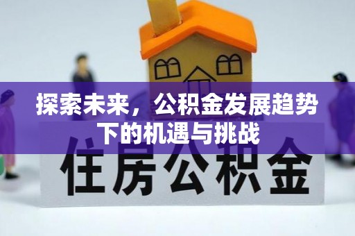 合阳探索未来，公积金发展趋势下的机遇与挑战