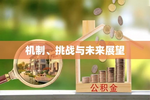 合阳机制、挑战与未来展望